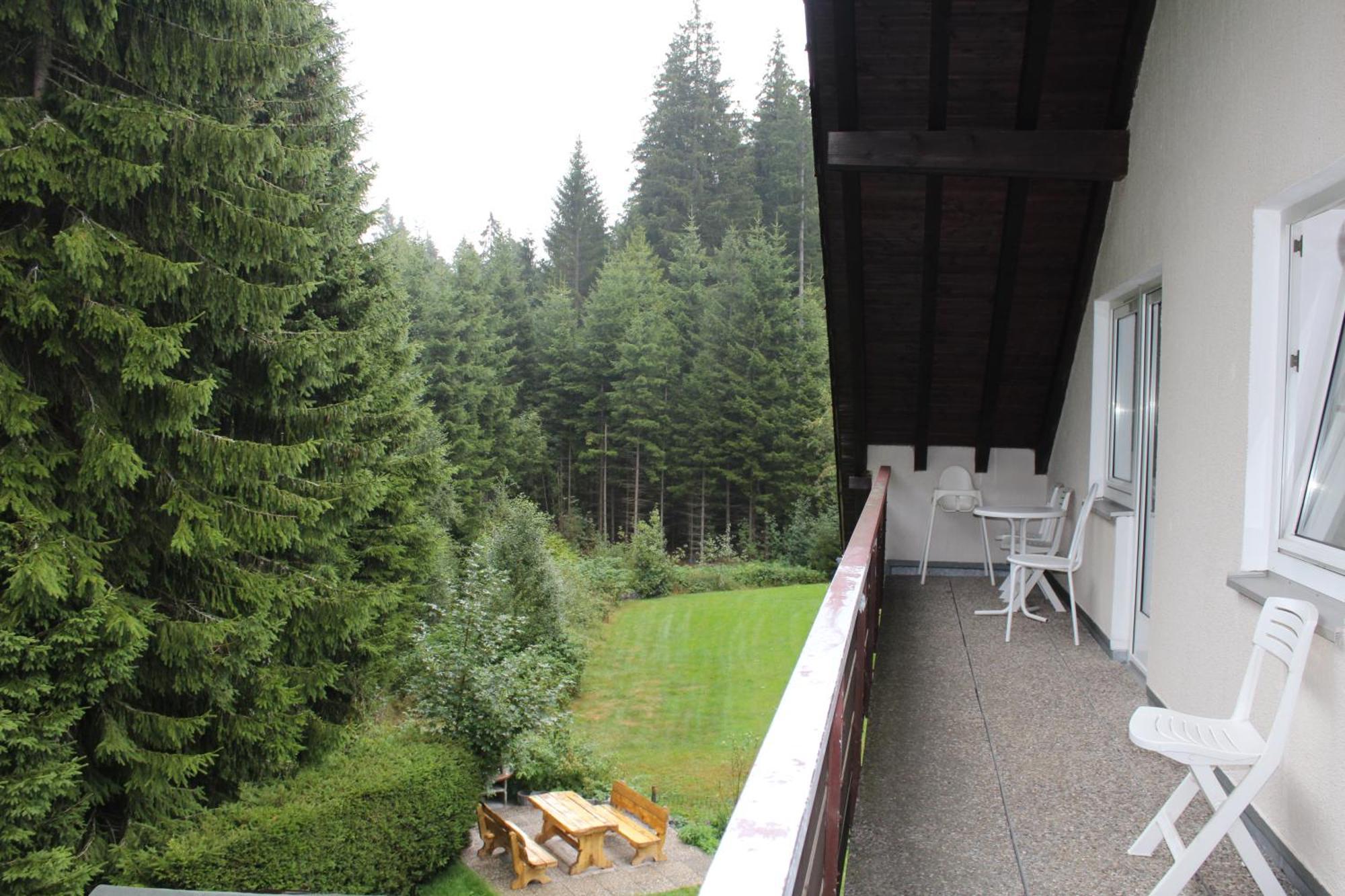 Ferienhaus Frei 1 Hinterzarten Εξωτερικό φωτογραφία